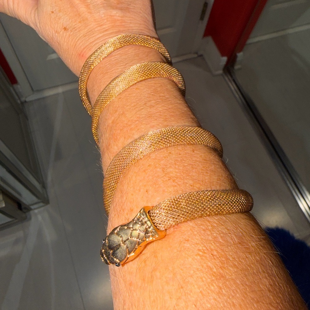 Gold Mesh Snake Bracelet Set